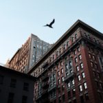 Thumbnail of related posts 127